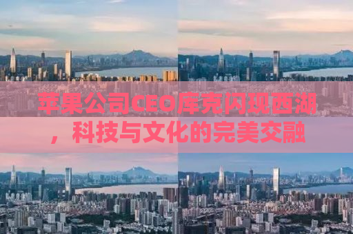 苹果公司CEO库克闪现西湖，科技与文化的完美交融