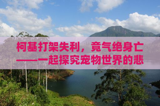 柯基打架失利，竟气绝身亡——一起探究宠物世界的悲剧