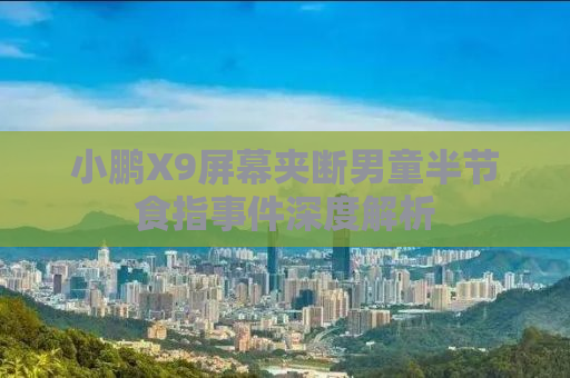 小鹏X9屏幕夹断男童半节食指事件深度解析