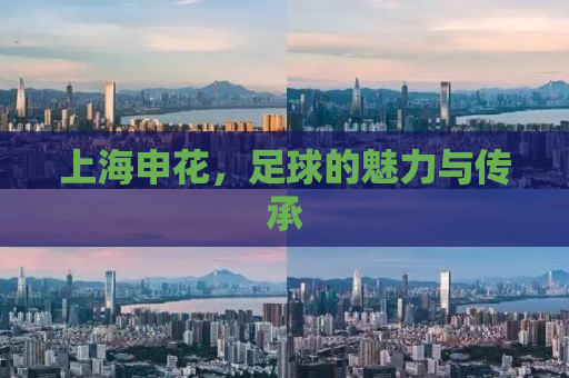 上海申花，足球的魅力与传承