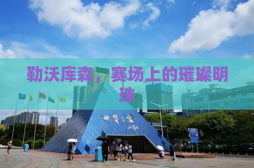 勒沃库森，赛场上的璀璨明珠