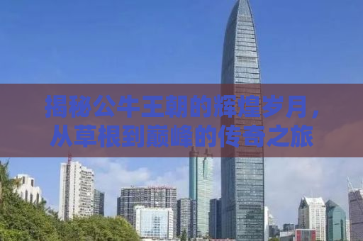 揭秘公牛王朝的辉煌岁月，从草根到巅峰的传奇之旅