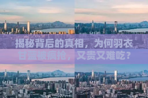 揭秘背后的真相，为何羽衣甘蓝被疯抢，又贵又难吃？