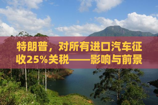 特朗普，对所有进口汽车征收25%关税——影响与前景分析