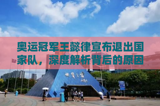 奥运冠军王懿律宣布退出国家队，深度解析背后的原因与未来展望