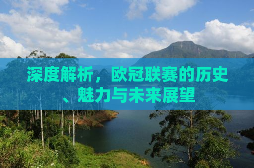 深度解析，欧冠联赛的历史、魅力与未来展望