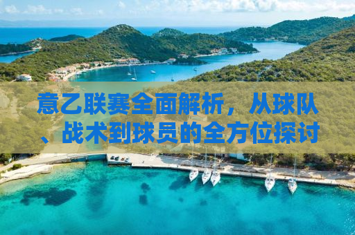 意乙联赛全面解析，从球队、战术到球员的全方位探讨