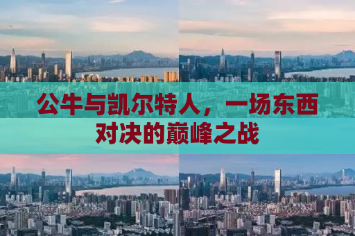 公牛与凯尔特人，一场东西对决的巅峰之战