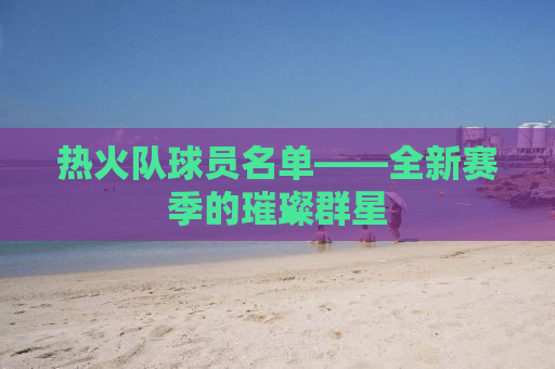 热火队球员名单——全新赛季的璀璨群星