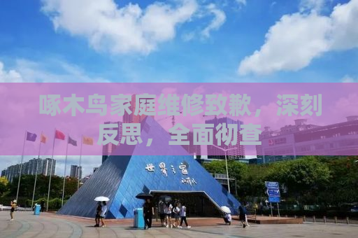 啄木鸟家庭维修致歉，深刻反思，全面彻查