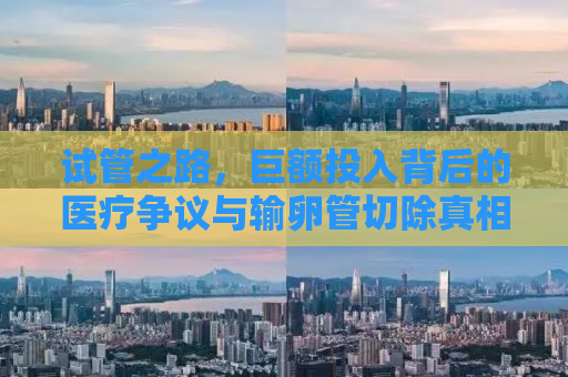 试管之路，巨额投入背后的医疗争议与输卵管切除真相揭秘