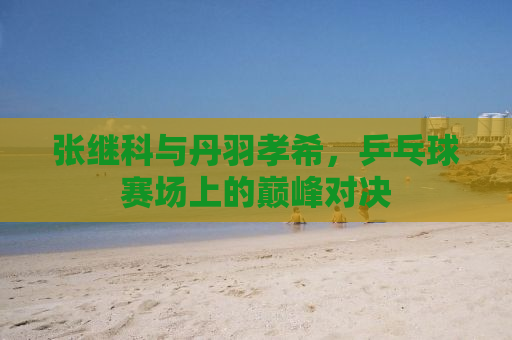 张继科与丹羽孝希，乒乓球赛场上的巅峰对决