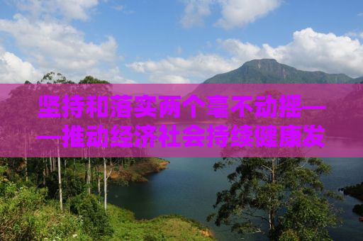 坚持和落实两个毫不动摇——推动经济社会持续健康发展的关键