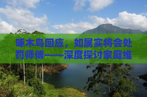 啄木鸟回应，如属实将会处罚师傅——深度探讨家庭维修行业的规范与未来