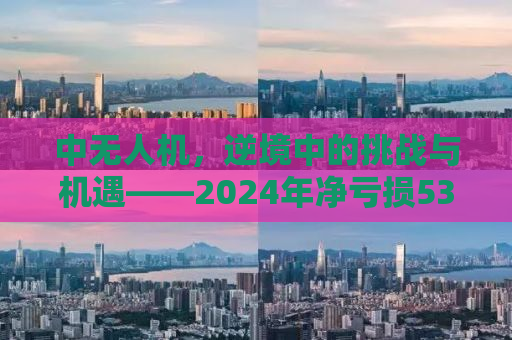 中无人机，逆境中的挑战与机遇——2024年净亏损5391.61万元的深度解析