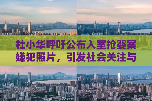 杜小华呼吁公布入室抢婴案嫌犯照片，引发社会关注与热议