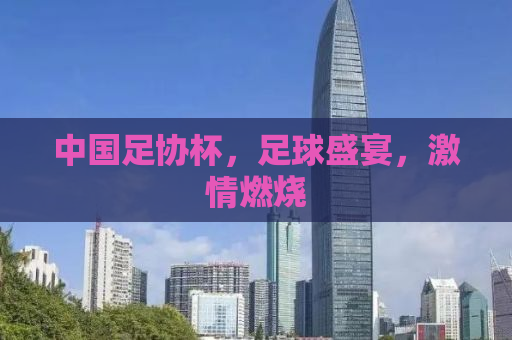 中国足协杯，足球盛宴，激情燃烧