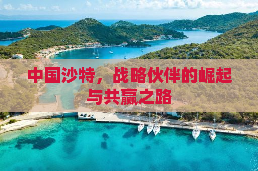 中国沙特，战略伙伴的崛起与共赢之路