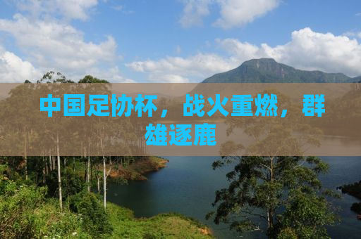中国足协杯，战火重燃，群雄逐鹿