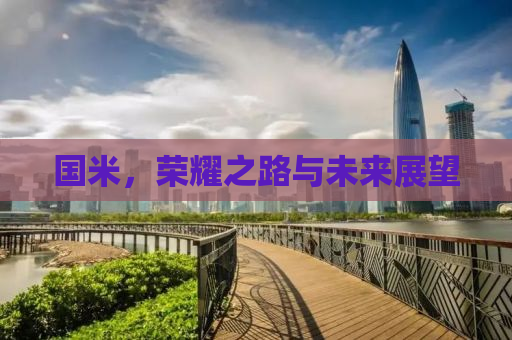 国米，荣耀之路与未来展望