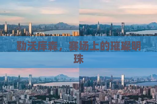 勒沃库森，赛场上的璀璨明珠