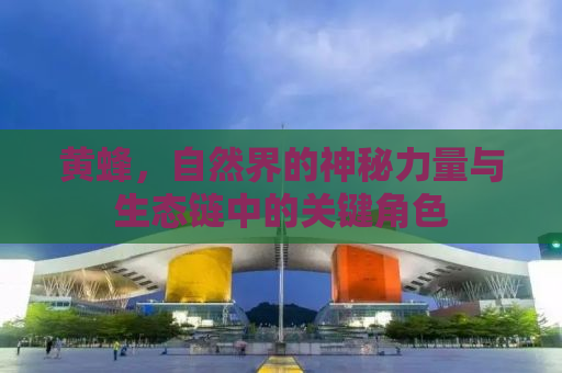 黄蜂，自然界的神秘力量与生态链中的关键角色