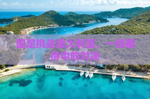 国足挑战澳大利亚，一场期待中的对决