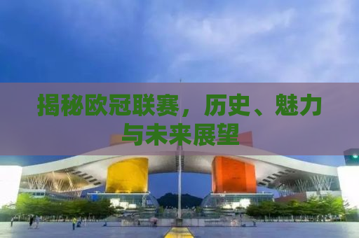 揭秘欧冠联赛，历史、魅力与未来展望