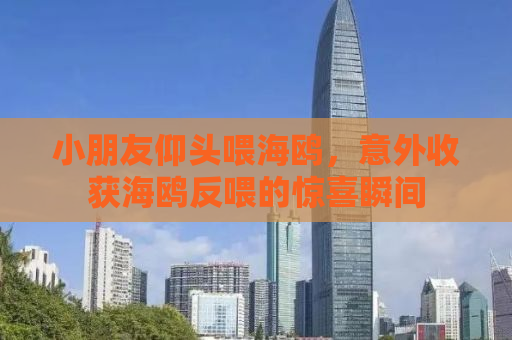 小朋友仰头喂海鸥，意外收获海鸥反喂的惊喜瞬间
