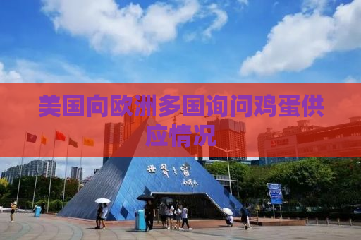 美国向欧洲多国询问鸡蛋供应情况