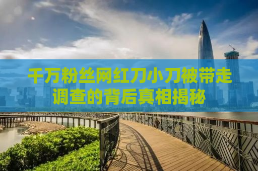 千万粉丝网红刀小刀被带走调查的背后真相揭秘