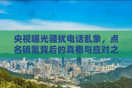 央视曝光骚扰电话乱象，点名销氪背后的真相与应对之道