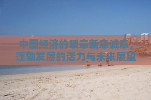 中国经济的暖意新意诚意，蓬勃发展的活力与未来展望