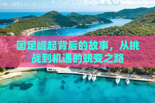 国足崛起背后的故事，从挑战到机遇的蜕变之路