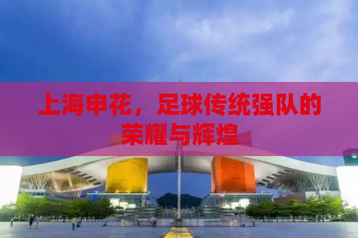 上海申花，足球传统强队的荣耀与辉煌