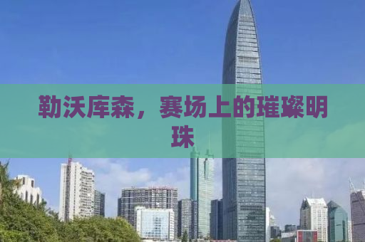 勒沃库森，赛场上的璀璨明珠