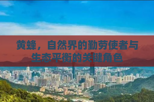 黄蜂，自然界的勤劳使者与生态平衡的关键角色