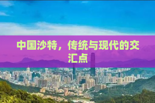 中国沙特，传统与现代的交汇点