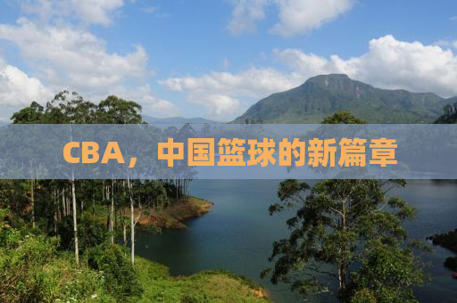 CBA，中国篮球的新篇章