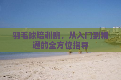 羽毛球培训班，从入门到精通的全方位指导