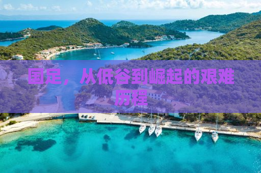 国足，从低谷到崛起的艰难历程