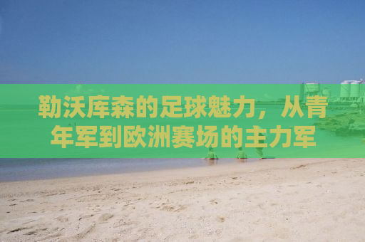 勒沃库森的足球魅力，从青年军到欧洲赛场的主力军