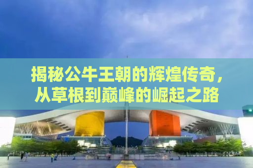 揭秘公牛王朝的辉煌传奇，从草根到巅峰的崛起之路