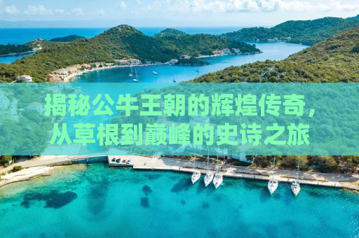 揭秘公牛王朝的辉煌传奇，从草根到巅峰的史诗之旅