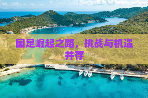 国足崛起之路，挑战与机遇并存