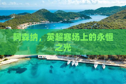 阿森纳，英超赛场上的永恒之光