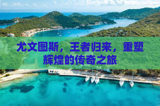 尤文图斯，王者归来，重塑辉煌的传奇之旅
