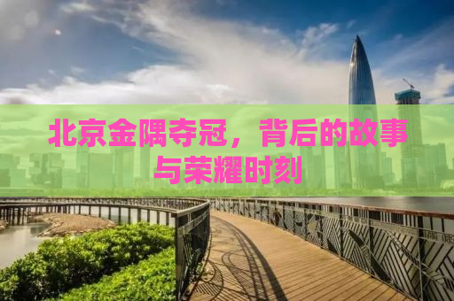 北京金隅夺冠，背后的故事与荣耀时刻