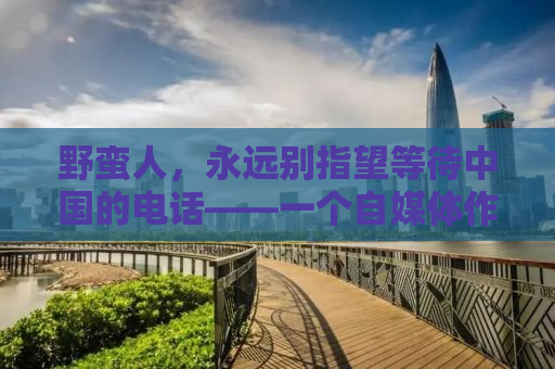 野蛮人，永远别指望等待中国的电话——一个自媒体作者的观察与思考