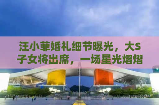 汪小菲婚礼细节曝光，大S子女将出席，一场星光熠熠的浪漫仪式